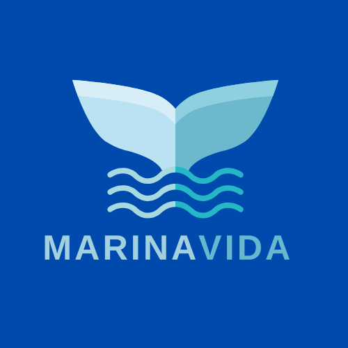 Marina Vida